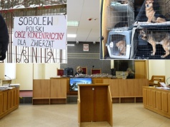 Marian D. usłyszał wyrok w sprawie schroniska w Sobolewie