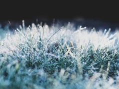 Nocą uderzy mróz. IMGW ostrzega aż 13 województw