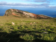 Tu trafił Napoleon na wygnanie. Dziś to raj dla turystów spragnionych ciszy