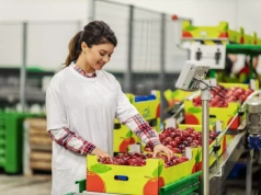 Właściciel Makro optymalizuje logistykę produktów świeżych dzięki AI