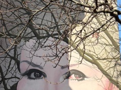 Nieznany sprawca zniszczył mural Kory na Nowym Świecie. Rozmawialiśmy z jej mężem. "Przykro mi"