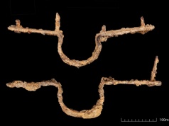 Ten pojazd siał spustoszenie wśród wrogów. Jego czterokołowa wersja z Wysp jest zaskakująco stara