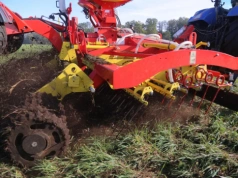 Jak dbać o czystość paszy i zdrowie zwierząt? Poradnik dla gospodarstw rolnych