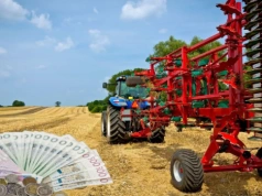 Ile kosztuje dzierżawa ziemi kl. IIIb–IV? Te ceny mogą zaskoczyć