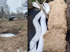 Zanieczyszczenie Czarnej Wody w Legnicy i Baczyny w Lubinie