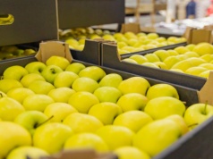 Nierównomierny wzrost płac w Polsce. Handel rynkowym outsiderem