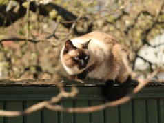 Ciepły wtorek w Łódzkiem. Pogoda na 24 marca