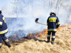 Wypalanie traw najgłupszym mitem wiosny. I najdroższym, bo kara sięga 30 tys. zł