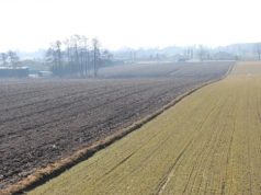 Mała reforma rolna na Pomorzu Zachodnim. Kto naprawdę zyskuje na państwowej ziemi?
