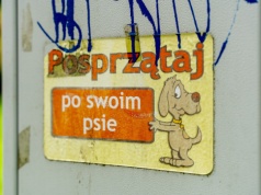 Śnieg stopniał, wstyd pozostał (napisali do nas)
