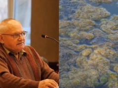 Co się dzieje z wodą w Zalewie Sosina w Jaworznie? Obraz na miejscu budzi coraz większy niepokój