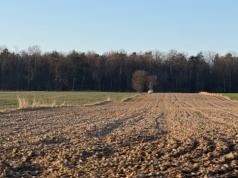 Dwa duże areały z ziemią II klasy idą na przetarg na Dolnym Śląsku