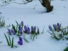 Śnieżne monstrum? Taka może być Wielkanoc. Nowa prognoza dla Polski