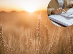 Rolnicy tracą, koszty rosną. Minister odpowiada: będą strategie