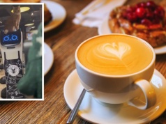 Nagranie z toruńskiej kawiarni stało się hitem za granicą. Wszystko przez kota