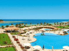 Egipska rafa koralowa na wyciągnięcie ręki 🐠🤿 5* all inclusive za 1599 PLN