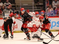 Na czterech meczach się nie skończy. Porażka Stalowników z Hradcem Kralowe