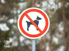 Psy zagrożeniem dla Kampinoskiego Parku Narodowego
