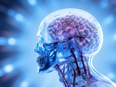 Mózg wysyła spersonalizowane sygnały. Przełomowe odkrycie naukowców z MIT