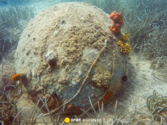 Iran rozmieścił miny morskie. Amerykanie reagują