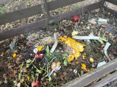 Wiosną rozdziel kompost na trzy warstwy. Jedna z nich jest bezcenna