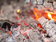 Wsyp garść do ziemi. Ten „odpad” przyspiesza wzrost roślin