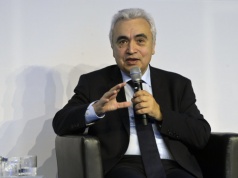 Szef MAE: bez rezygnacji Niemiec z atomu kryzys byłby łagodniejszy