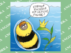 Trzmiele w ekstremalnych warunkach. Posiadają niezwykłą umiejętność