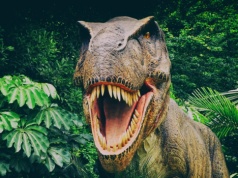 Naukowcy nie zostawiają złudzeń w sprawie dinozaurów. Nigdy się nie dowiemy