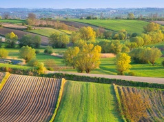 Wspólna Polityka Rolna 2023–2027 – ocena śródokresowa