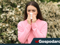 Alergia wiosną – objawy, przyczyny i sposoby łagodzenia dolegliwości