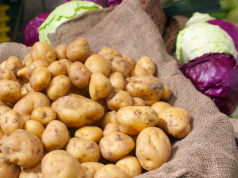 Ignacy bezkonkurencyjny kolejny rok z rzędu