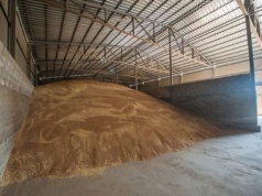 Marcin Wroński: Minister zamiast uroczyście otwierać ziemniakomat, powinien otwierać nowe rynki zbytu na polskie zboże