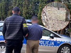 Kłusownik z Wolborza zatrzymany. 76-latek rozkładał w lesie stalowe wnyki