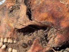 Niemiecki żołnierz miał w ustach różaniec