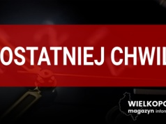 Pożar lasu pod Nowym Tomyślem!