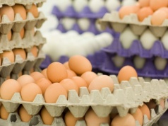 Ceny jaj 2026 przed Wielkanocą rosną. W hurcie już nawet 85 gr za sztukę