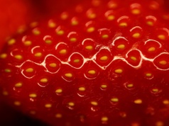 Parszywa Dwunastka 2026. Te owoce i warzywa mają najwięcej pestycydów