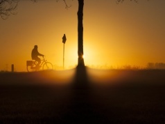 Rowerzysta na drodze ekspresowej S19. 68-latek ukarany mandatem