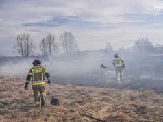 Tragiczny finał pożaru traw w miejscowości Szaflary