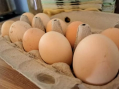 Wielkanoc 2026: ile kosztują jajka i czy ceny jeszcze wzrosną?