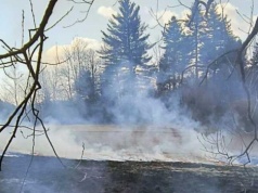 Pół hektara spalonej ziemi w Bystrem. Policja szuka podpalacza