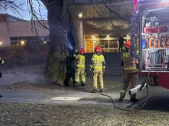 Paliło się drzewo przy alei Platanowej, tuż obok hotelu Qubus w Legnicy