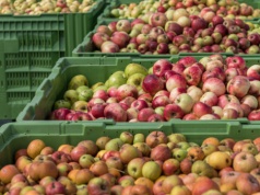 Koniec 70-letniej historii. Producent soków zamyka zakład po fiasku ratunku