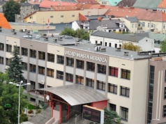 Sieradz sięga po wsparcie. Będą zabiegi, edukacja i realna pomoc dla zwierząt