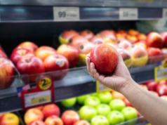 Jabłko, które przetrwa zmiany klimatu. Kulisy amerykańskiego projektu Sunflare