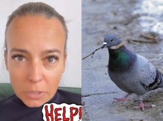 Gołębie przejęły balkon Anny Muchy. "To jest jakaś masakra!"