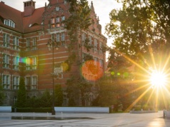 Naukowcy z Politechniki Gdańskiej udowadniają, że żelatyna może się przydać w medycynie