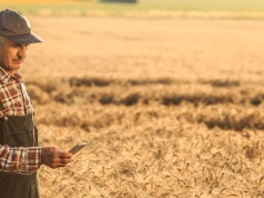 Zmiany w składkach KRUS 2026. Rolnicy zapłacą inaczej niż dotychczas