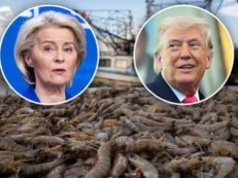 Mięso z bizona i krewetki zaleją Europę? Jest umowa z USA